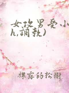 女攻男受小说(h,调教)