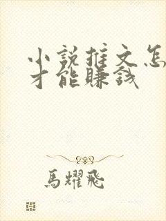 小说推文怎么弄才能赚钱