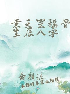 袁天罡称骨算命生辰八字