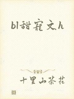 bl甜宠文h