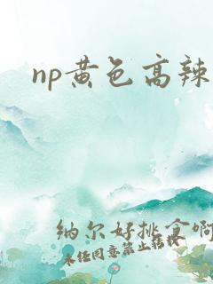 np黄色高辣文