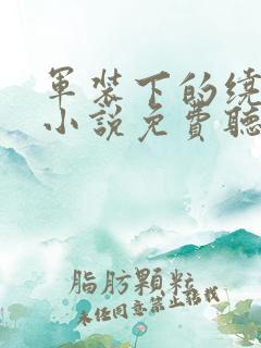 军装下的绕指柔小说免费听书