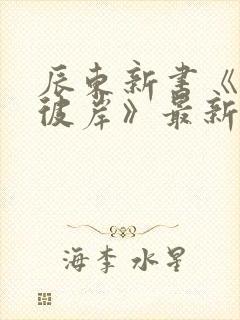 辰东新书《深空彼岸》最新