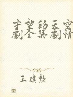 守望的天空电视剧全集剧情 守望的天空电视剧全集剧情