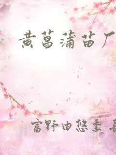 黄菖蒲苗厂家