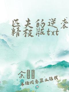 匹夫的逆袭完整精校版txt