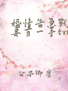 婚情告急战少撩妻有一手txt