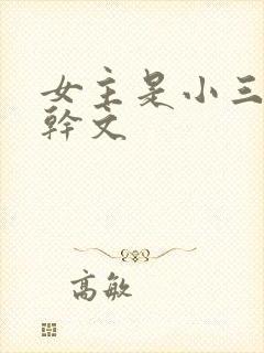 女主是小三的高干文