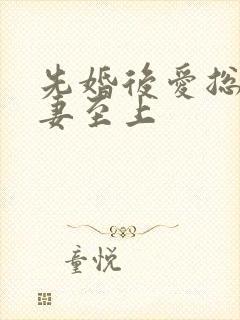 先婚后爱总裁宠妻至上