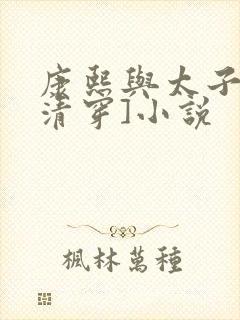 康熙与太子妃[清穿]小说