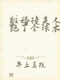 离婚后夫人她惊艳了全球木清辞 离婚后夫人她惊艳了全球木清辞