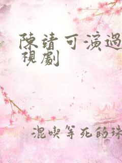 陈靖可演过的电视剧
