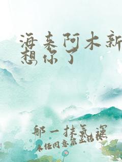 海来阿木新歌我想你了