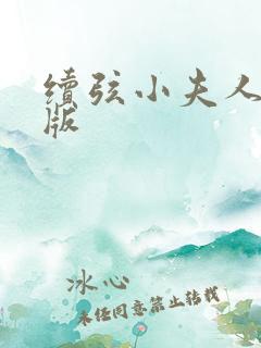 续弦小夫人完整版