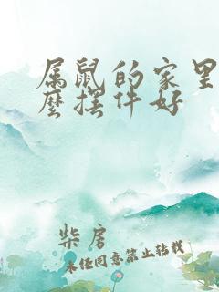 属鼠的家里放什么摆件好