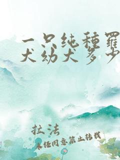 一只纯种罗威纳犬幼犬多少钱