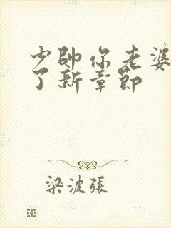 少帅你老婆又跑了新章节