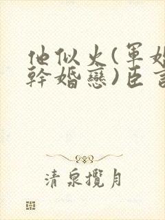 他似火(军婚高干婚恋)臣言