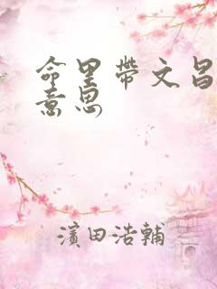 命里带文昌什么意思
