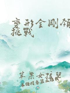 变形金刚领袖的挑战