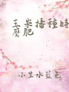玉米播种时施什么肥