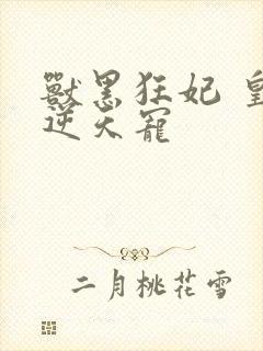 兽黑狂妃 皇叔逆天宠