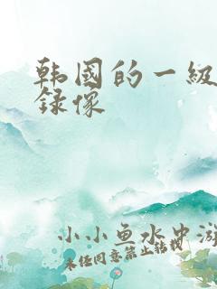 韩国的一级黄色录像