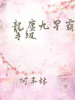 龙尘九星霸体诀等级