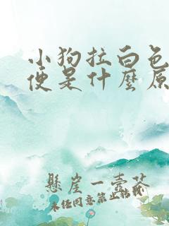 小狗拉白色的便便是什么原因