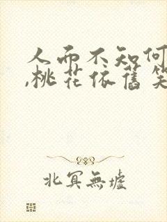 人面不知何处去,桃花依旧笑春风下一句
