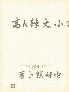 高h辣文小说