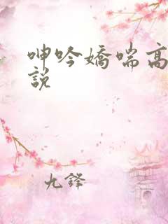 呻吟娇喘高潮小说