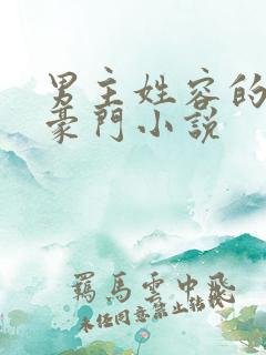男主姓容的现代豪门小说