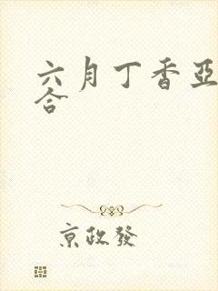 六月丁香亚洲综合