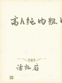 高h纯肉粗口文