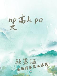 np高h po文