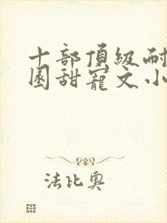 十部顶级耐看校园甜宠文小说