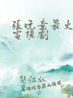 张晚意最火十部电视剧