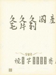 久久久国产精品毛片到