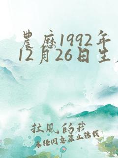 农历1992年12月26日生辰八字