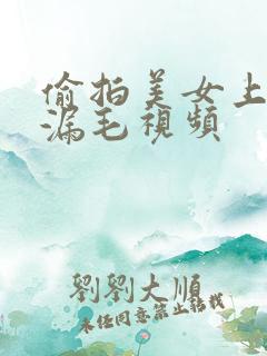 偷拍美女上厕所漏毛视频