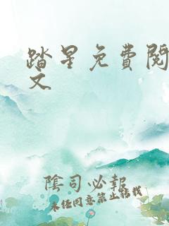 踏星免费阅读全文