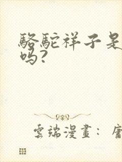 骆驼祥子是小说吗?