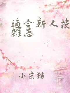 适合新人投稿的杂志