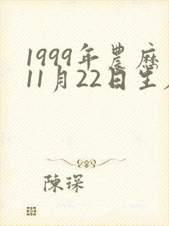 1999年农历11月22日生辰八字