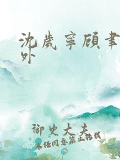 沈岁宁顾聿礼番外