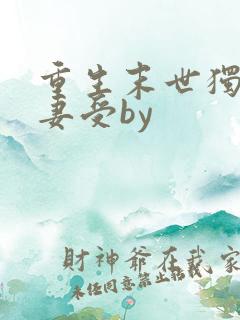 重生末世独宠男妻受by
