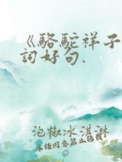 《骆驼祥子》好词好句.