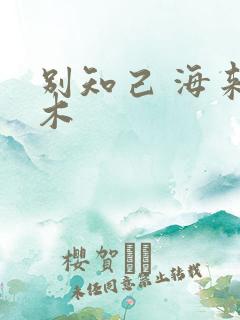 别知己 海来阿木