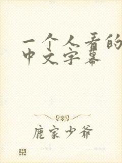 一个人看的视频中文字幕